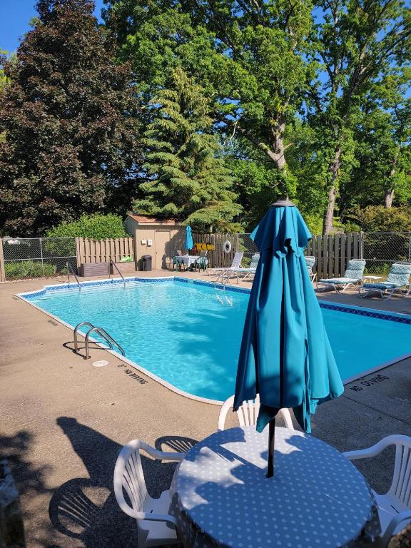 This Charming 2 bed condo is next to downtown Saugatuck and includes a pool! - image 3