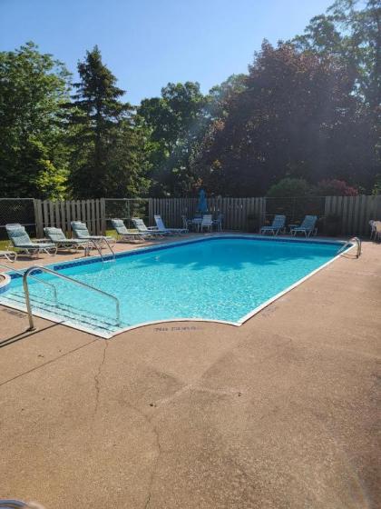 This Charming 2 bed condo is next to downtown Saugatuck and includes a pool! - image 8