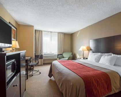 Comfort Inn Saugerties - image 11