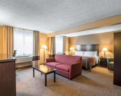 Comfort Inn Saugerties - image 15