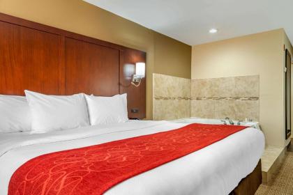 Comfort Suites Gateway - image 3