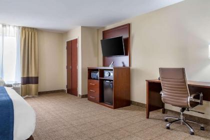 Comfort Suites Gateway - image 4