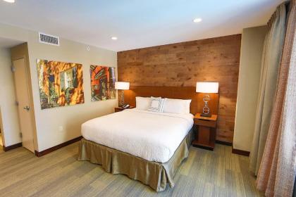 Fairfield Inn & Suites by Marriott Savannah Midtown - image 3