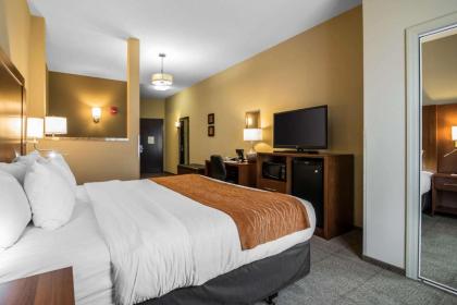 Comfort Inn & Suites Sayre - image 11