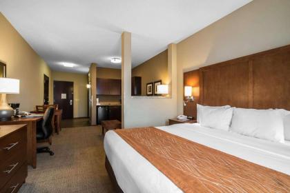 Comfort Inn & Suites Sayre - image 7