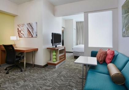 Springhill Suites by Marriott Chicago Schaumburg/Woodfield Mall - image 14