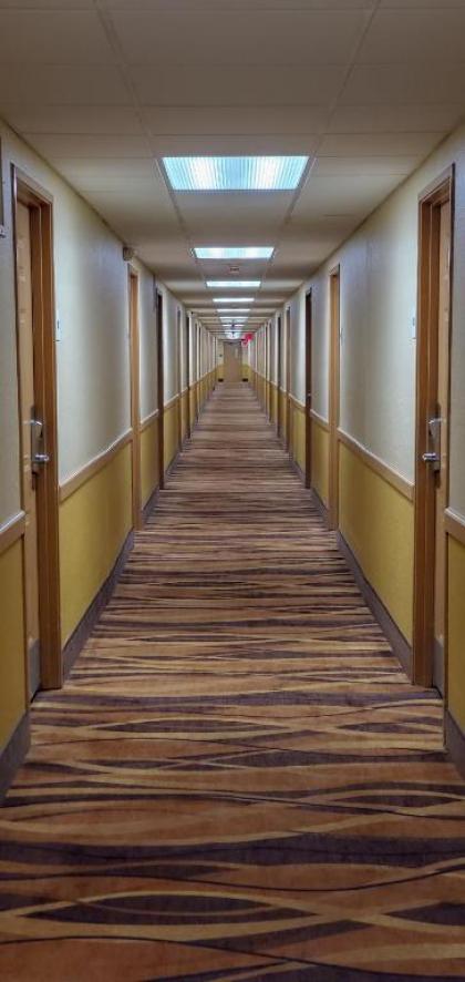 Days Inn & Suites by Wyndham Schaumburg- Woodfield Mall - image 5