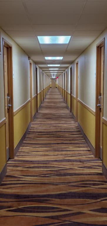 Days Inn & Suites by Wyndham Schaumburg- Woodfield Mall - image 5