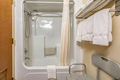 Quality Inn Schenectady - Albany - image 6