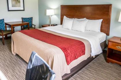 Comfort Inn Schererville - image 10