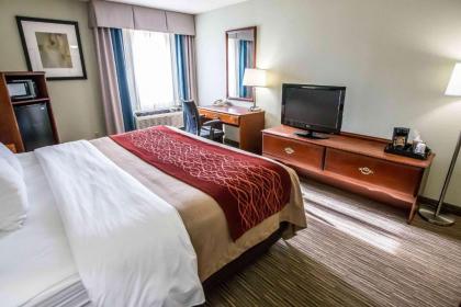 Comfort Inn Schererville - image 12