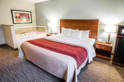 Comfort Inn Schererville - image 14