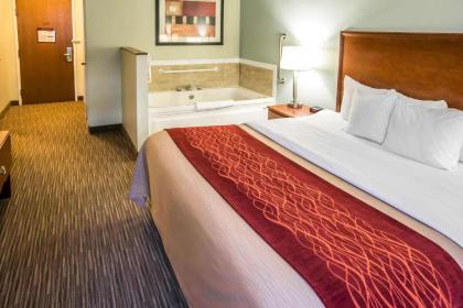 Comfort Inn Schererville - image 15