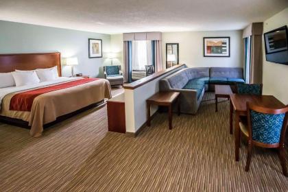 Comfort Inn Schererville - image 8