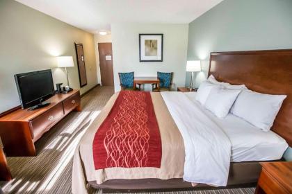 Comfort Inn Schererville - image 9