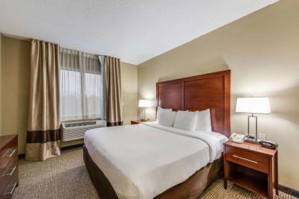 Comfort Suites Chicago O'Hare Airport - image 14