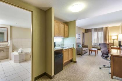 Comfort Suites Chicago O'Hare Airport - image 17