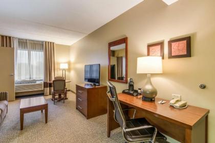 Comfort Suites Chicago O'Hare Airport - image 18