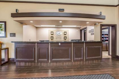 Comfort Suites Chicago O'Hare Airport - image 6