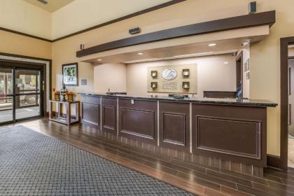 Comfort Suites Chicago O'Hare Airport - image 8