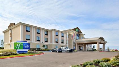 Holiday Inn Express and Suites Schulenburg an IHG Hotel Schulenburg Texas