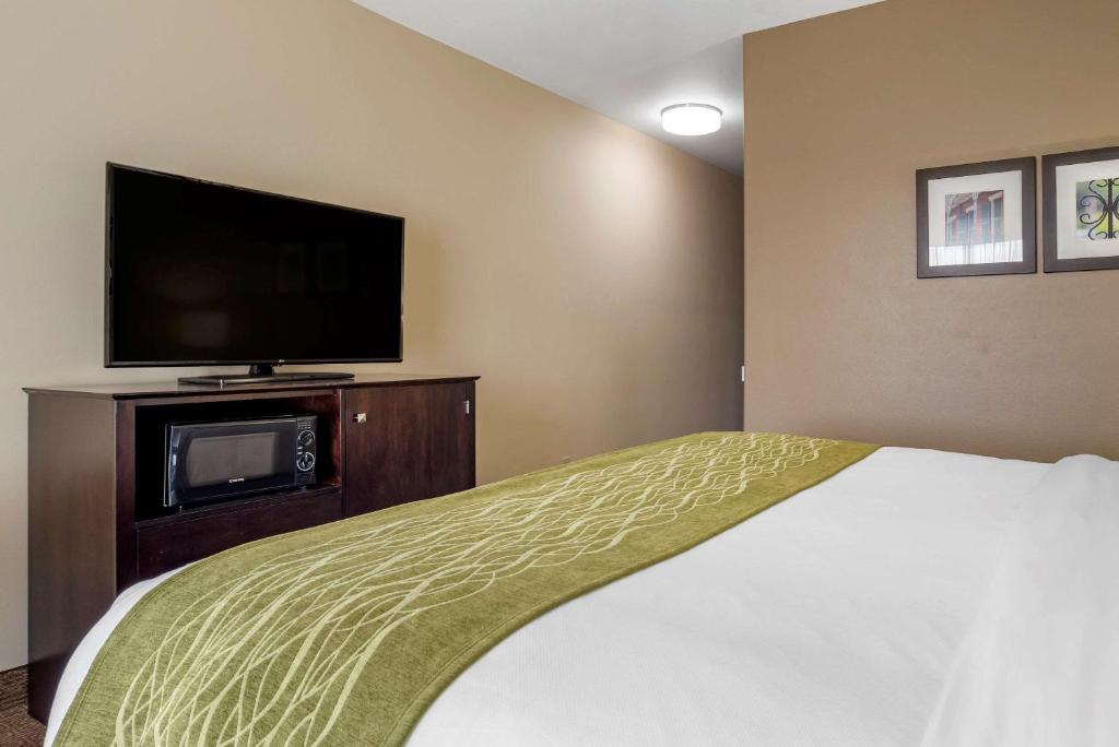 Comfort Inn & Suites Scott - West Lafayette - image 7