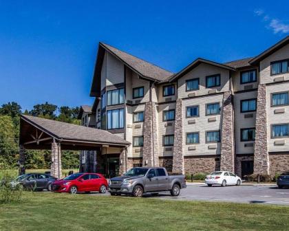 Comfort Inn and Suites Near Lake Guntersville - image 2