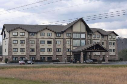 Comfort Inn and Suites Near Lake Guntersville - image 5