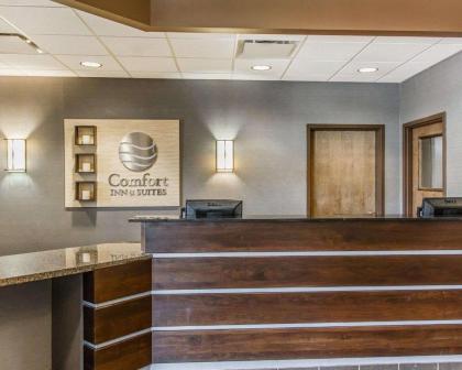 Comfort Inn and Suites Near Lake Guntersville - image 6