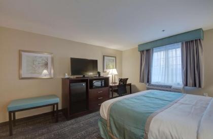 Best Western Hampshire Inn & Suites - image 5