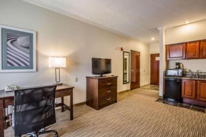 Quality Inn and Suites Seabrook - NASA - Kemah - image 15