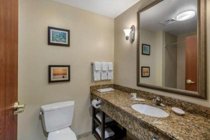 Comfort Suites Seaford - image 9