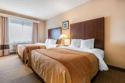 Comfort Inn & Suites Seattle North - image 2