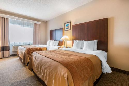 Comfort Inn & Suites Seattle North - image 2