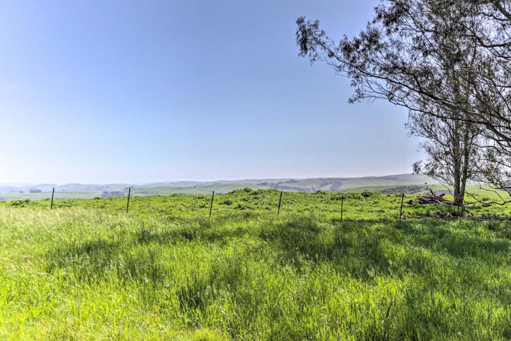 Moonview Ranch on 20 Acres in Sonoma County! - image 5