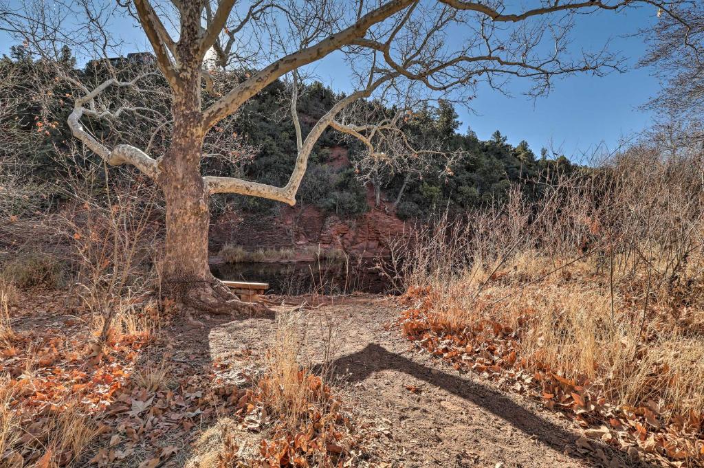 Oasis with Hot Tub Fire Pit and Optional Chef! - image 6