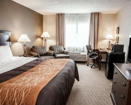 Quality Inn Seekonk-Providence - image 14