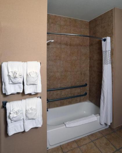 Hampton Inn Seguin - image 12