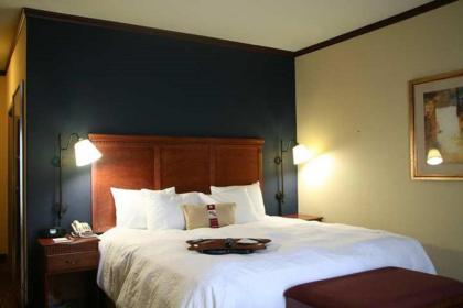 Hampton Inn Seguin - image 14