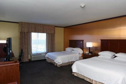 Hampton Inn Seguin - image 4