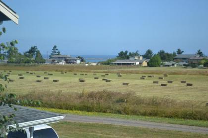 Juan de Fuca Cottages - image 5