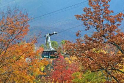 Above the Clouds (#75) Holiday home - image 4