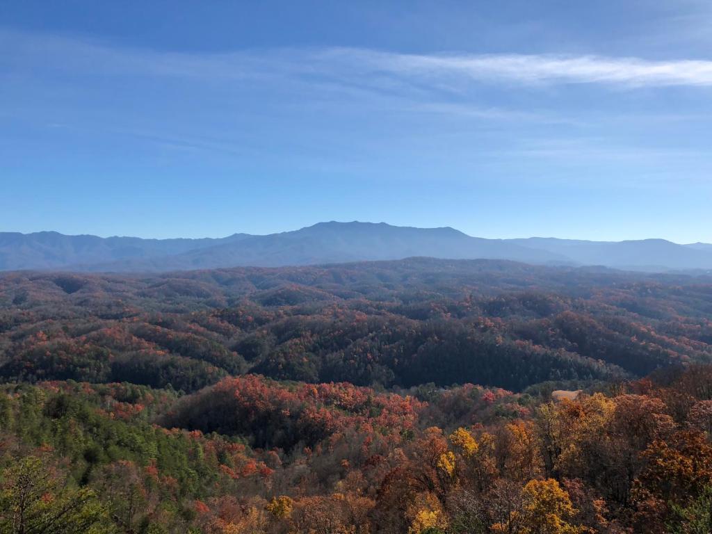 A View from the Top - image 5