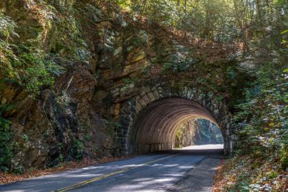 Smokies Sanctuary - image 3