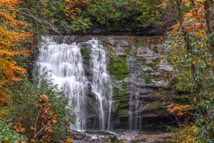 Smokies Sanctuary - image 5