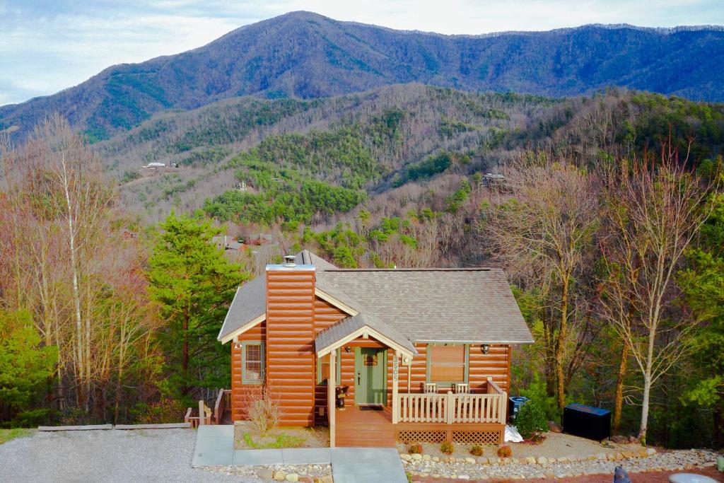 Cove Mountain Retreat - main image