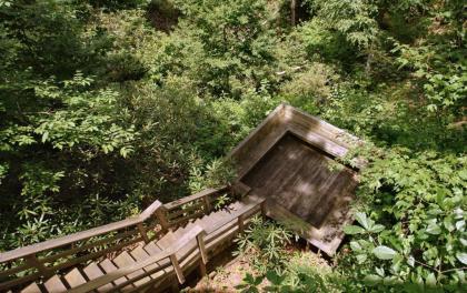 Serenity Creek Cabin - image 2