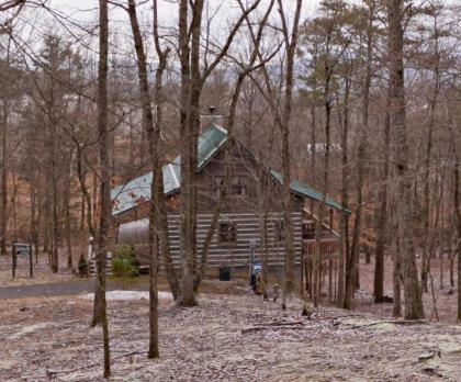 Southern Charm Cabin - image 2