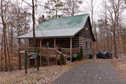 Southern Charm Cabin - image 4