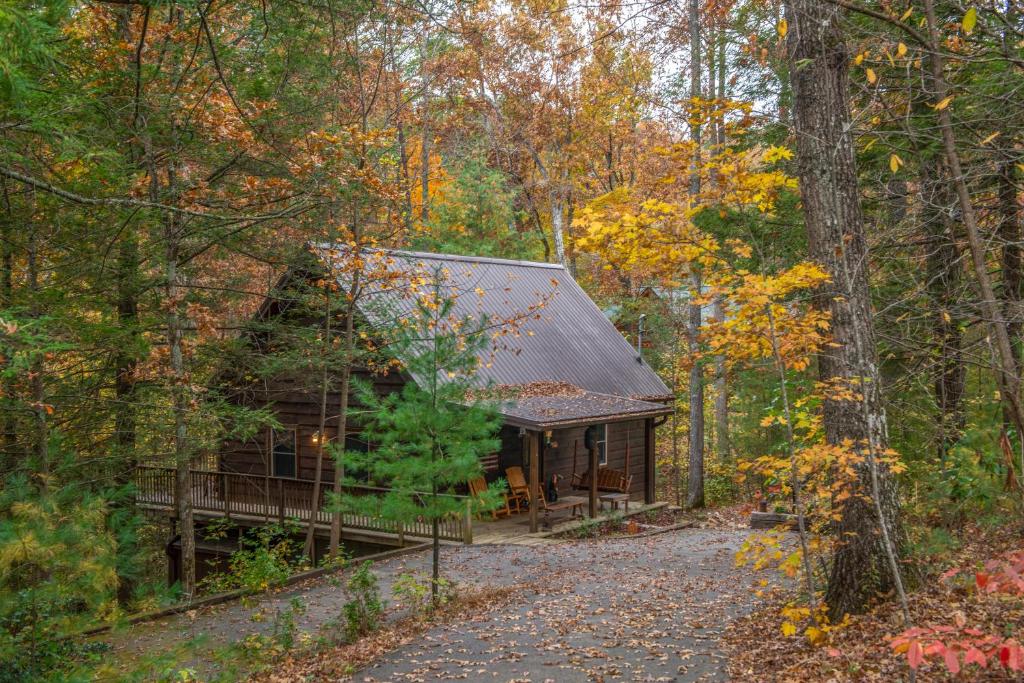 Two Bears Cabin - main image